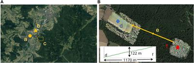 Vertical profiles of temperature, wind, and turbulent fluxes across a deciduous forest over a slope observed with a UAV